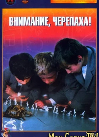 Внимание, черепаха!