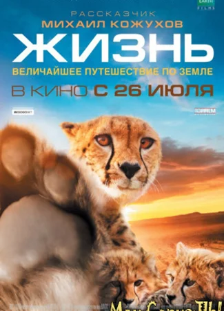 Жизнь