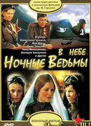 В небе «ночные ведьмы»