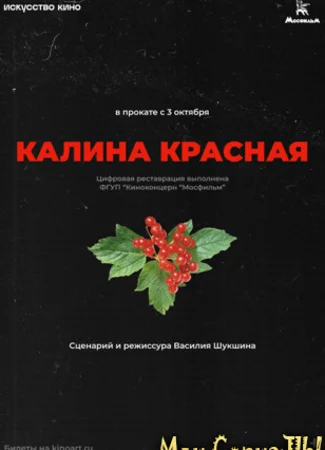 Калина красная