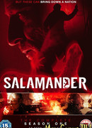 Саламандра сезон 1
