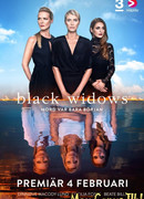 Черные вдовы сезон 1
