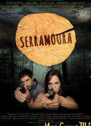 Черный лес сезон 6