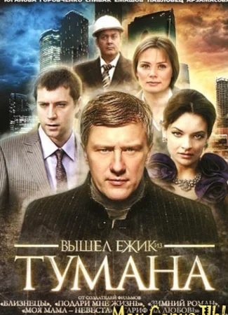 Вышел ежик из тумана