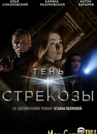 Тень стрекозы