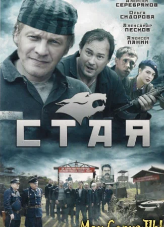 Стая