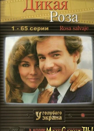 Дикая роза