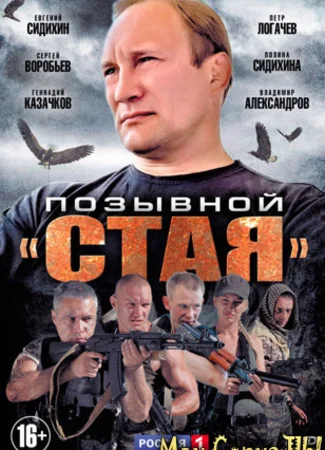 Позывной «Стая»