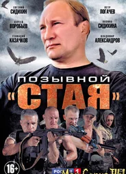 Позывной «Стая»