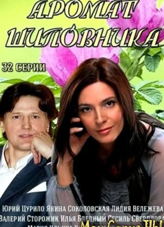 Аромат шиповника