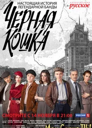 Черная кошка