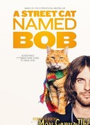 Уличный кот по кличке Боб