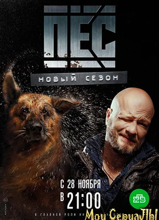 Пес