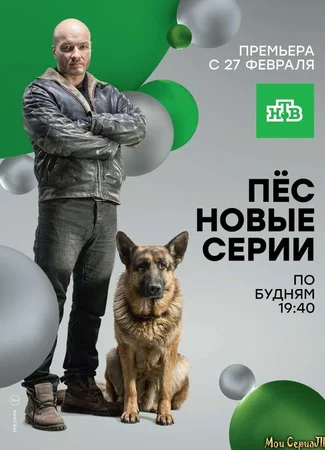 Пес