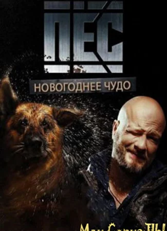 Пес. Новогоднее чудо