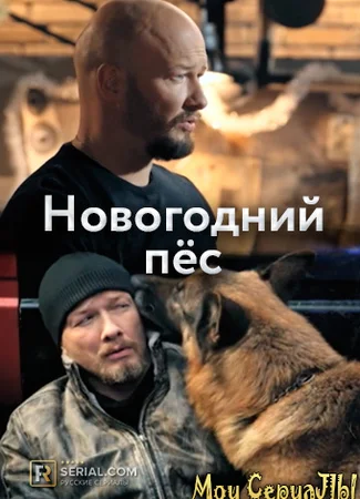 Пес. Новогоднее чудо