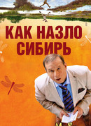 Как назло Сибирь