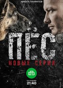Пес сезон 2