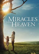 Чудеса с небес