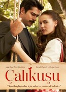 Королёк — птичка певчая сезон 1