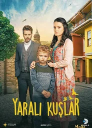 Раненые птицы