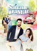 Замечательный зять сезон 1