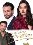 Я полюбила обоих сезон 1