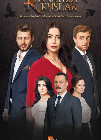 Птицы без крыльев