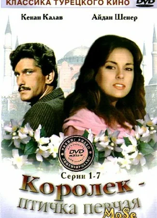 Королёк — птичка певчая