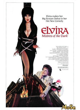 кино Эльвира — повелительница тьмы (Elvira: Mistress of the Dark) 13.10.20