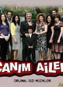 Моя любимая семья сезон 2