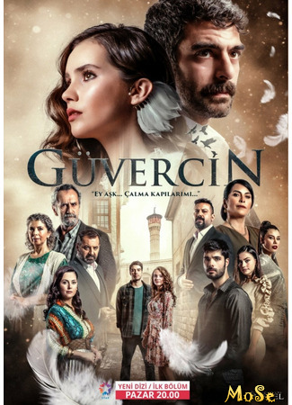 кино Голубка (Guvercin: Güvercin) 19.10.20
