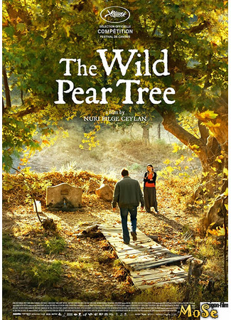 кино Дикая груша (The Wild Pear Tree: Ahlat Ağacı) 20.10.20