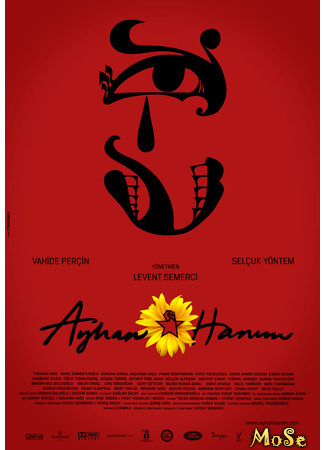 кино Госпожа Айхан (Ayhan Hanim: Ayhan Hanım) 24.10.20