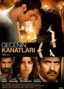 Крылья в ночи