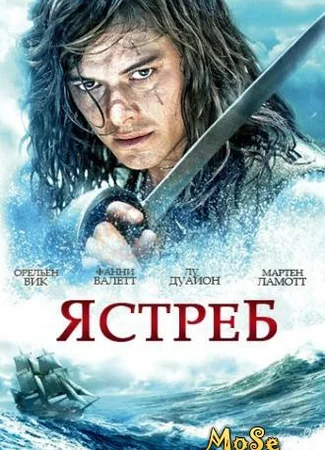 Ястреб