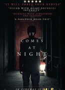 Оно приходит ночью