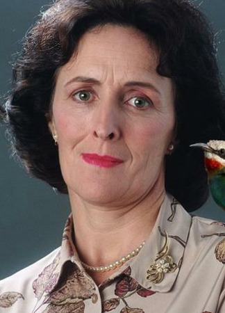 Роль Петунья Дурсль 11.11.20