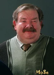 Вернон Дурсль