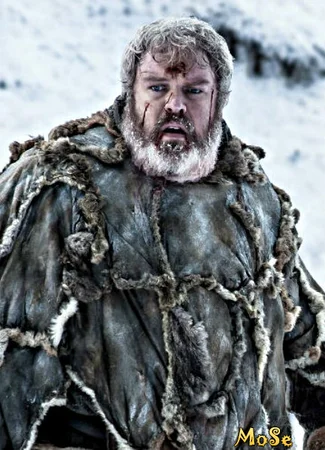 Роль Ходор 16.11.20