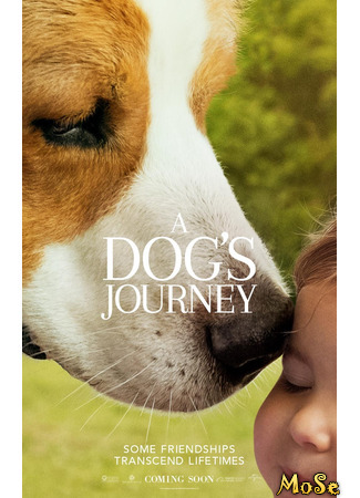 кино Собачья жизнь 2 (A Dog&#39;s Journey) 24.11.20