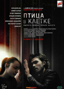 Птица в клетке