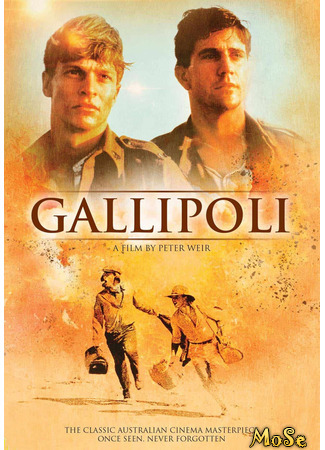 кино Галлиполи (Gallipoli) 13.12.20