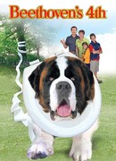 Бетховен 4