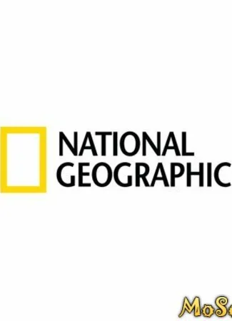 Производитель National Geographic 09.01.21