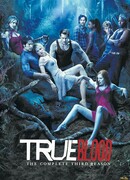 Настоящая кровь сезон 3