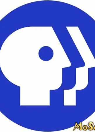 Производитель PBS 13.01.21