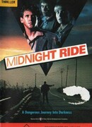 Ночной попутчик