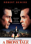 Бронкская история