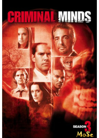 кино Мыслить как преступник (Criminal Minds) 16.01.21